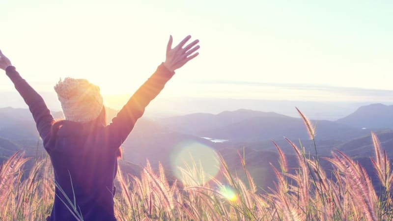 Creating on Purpose: The Chakras as a Map for Bringing Your Dreams to Reality