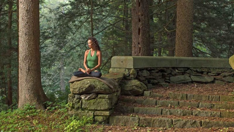 Therapeutic Yoga for Resilience: Cultivating Safety and Presence