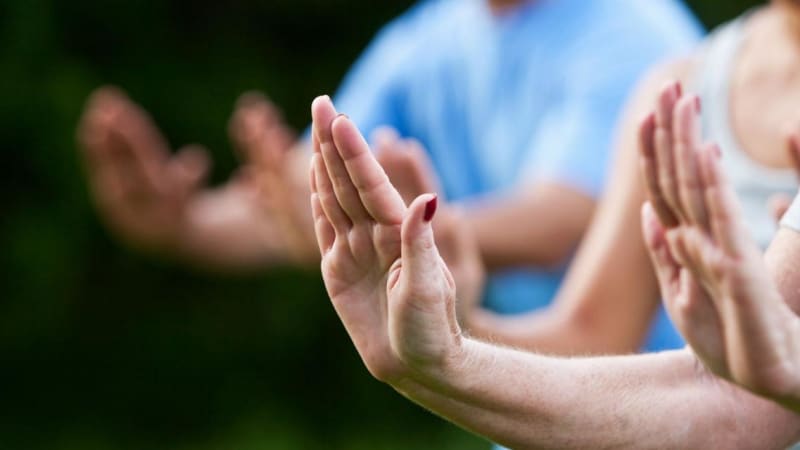 Free Flow: A Qigong and Chinese Medicine Retreat