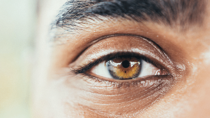 Healing the Healer: A Mind-Body Retreat for EMDR Therapists