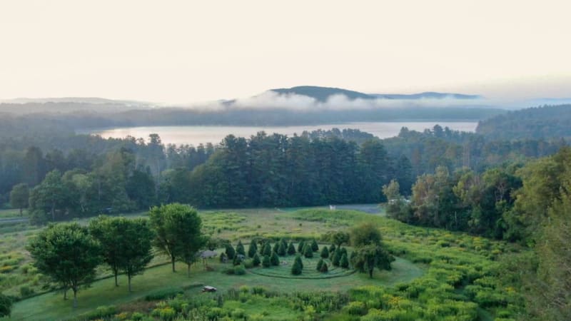 An Introduction to Shamanism: Learn to Journey
