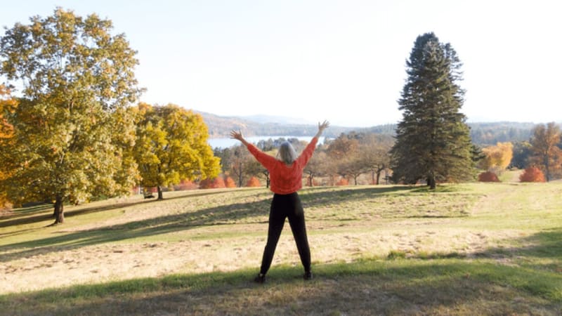 Beyond the Narrative: Breaking Free from the Stories That Keep You Stuck
