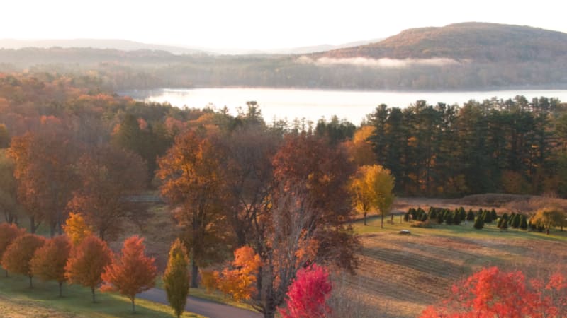 Kripalu Friends Membership