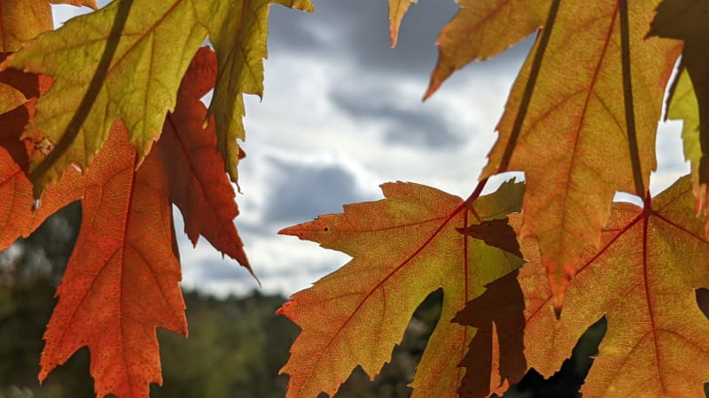 Weekend Retreat at Healing Spring