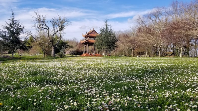2026 Retreats & Events in Plum Village France