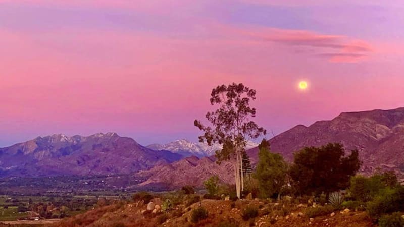 Full Moon Meditation Online Broadcast