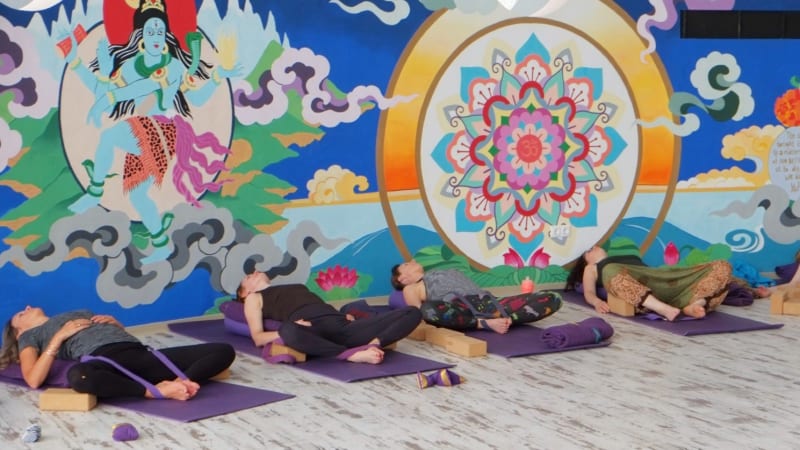 50hr Yin & Meridians Yoga Teacher Training