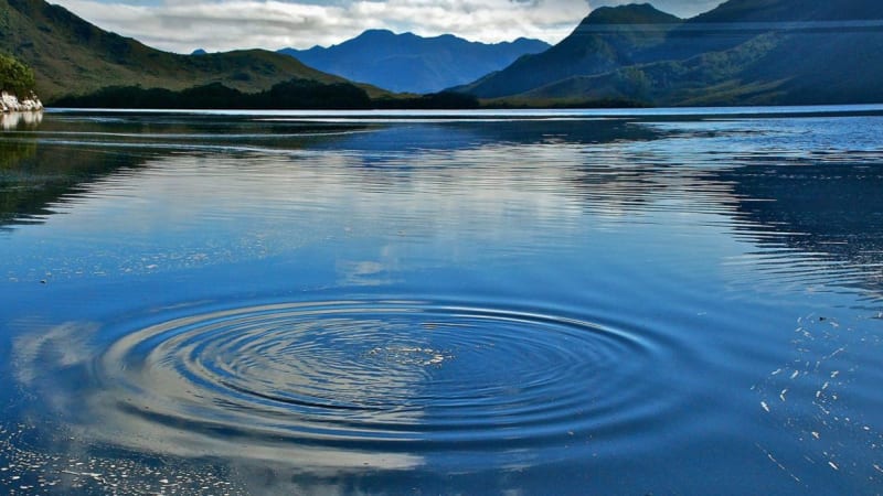 Mindfulness-Based Cognitive Therapy (MBCT) Teacher Foundations & Development
