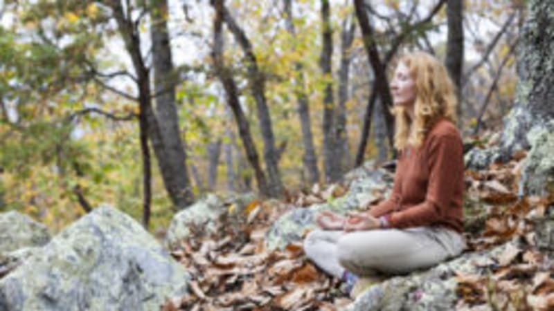 Whispering Leaves: A Fall Silent Yoga & Meditation Retreat at Yogaville