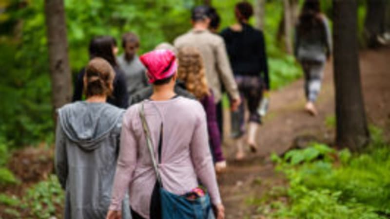 Where the Mind Grows Quiet: A Spring Contemplative Hiking Retreat at Yogaville