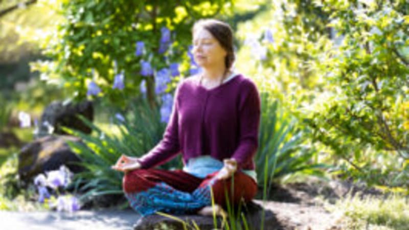 Spring Silent Retreat: Reconnect, Renew, Restore at Yogaville