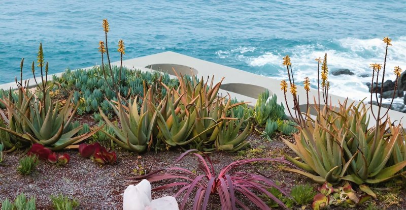 Winter Renewal: Transitioning into the New Year with Ritual, Yoga and Time in Nature
