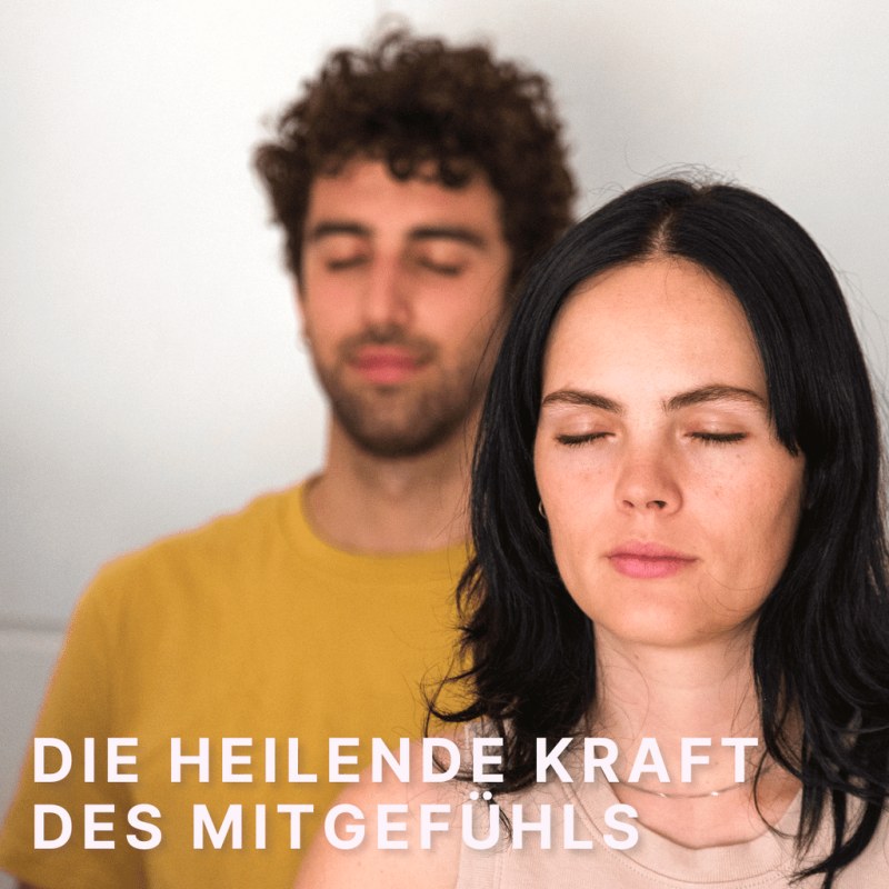 Die heilende Kraft des Mitgefühls: Urban Retreat über die Natur und die Kraft des Geistes