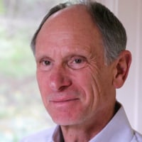 Joseph Goldstein