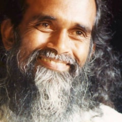 Yogi Hari