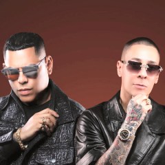 Baby Rasta y Gringo