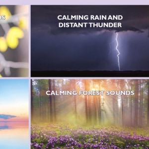 Deep Relaxation 4 Album Set: Perfect for Meditation, Relaxation and Sleep