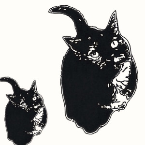 Space Cats on Mushrooms