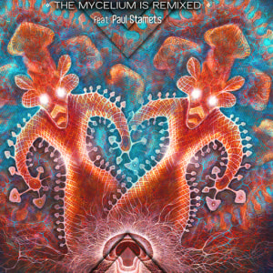 The Mycelium is Remixed