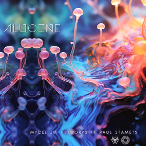 Mycelium Networks