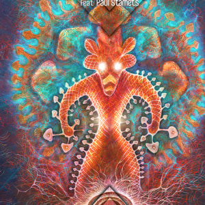 The Mycelium is Listening