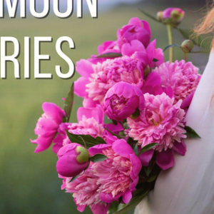 New Moon In Aries