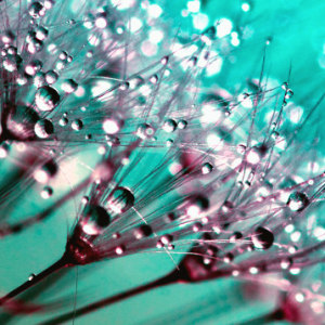The Essence Of Beauty