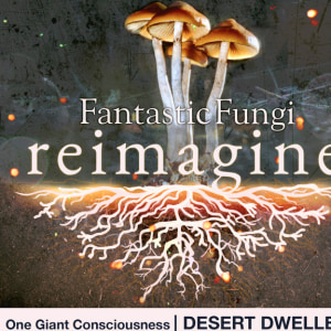 One Giant Consciousness (Fantastic Fungi: Reimagine)