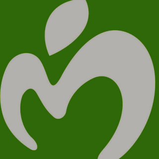 Mrs. GREEN APPLE
