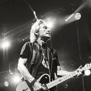 Ligabue