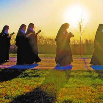 Benedictines of Mary, Queen of Apostles