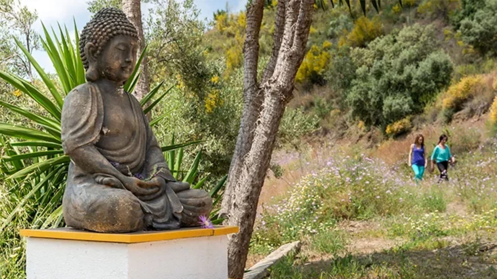 Cultivating Peace and Presence in the Sanctuary of Southern Spain with Hugh Byrne and Rebecca Hines