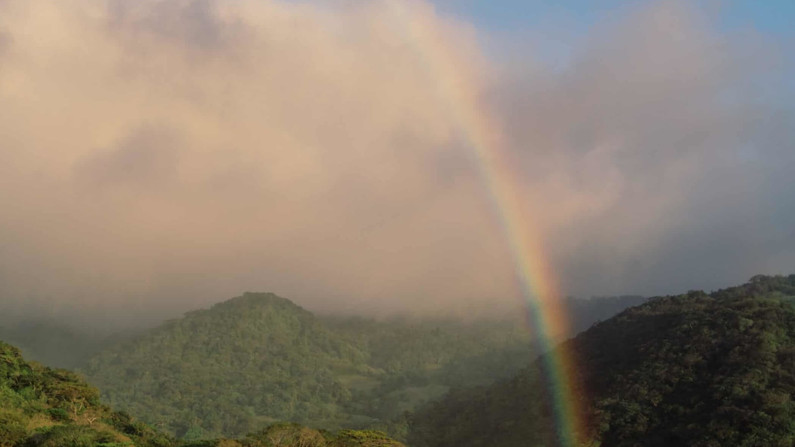 Doors to the Wild Self: Monteverde, Costa Rica Yoga Retreat
