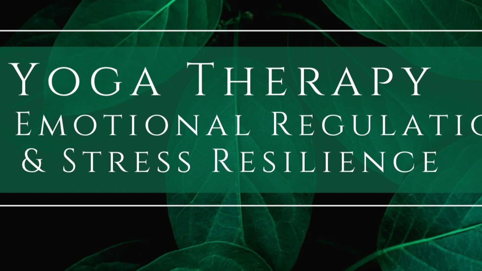 Featured Practice of the Week - Laura Goellner