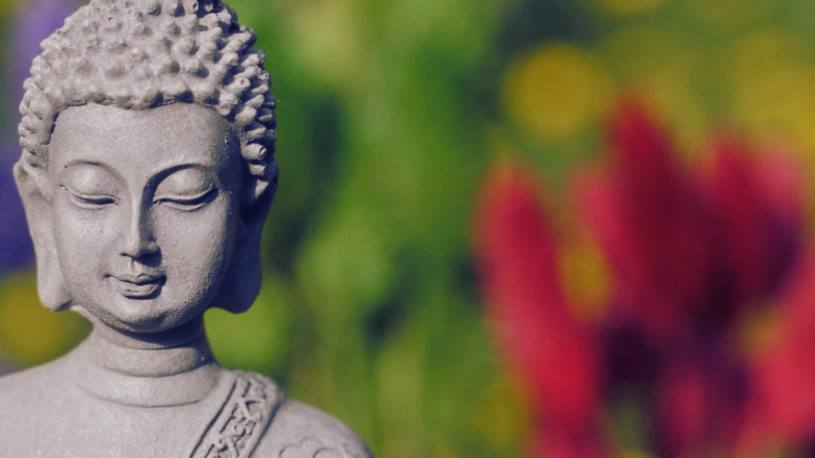 Awareness, Inquiry and Freedom