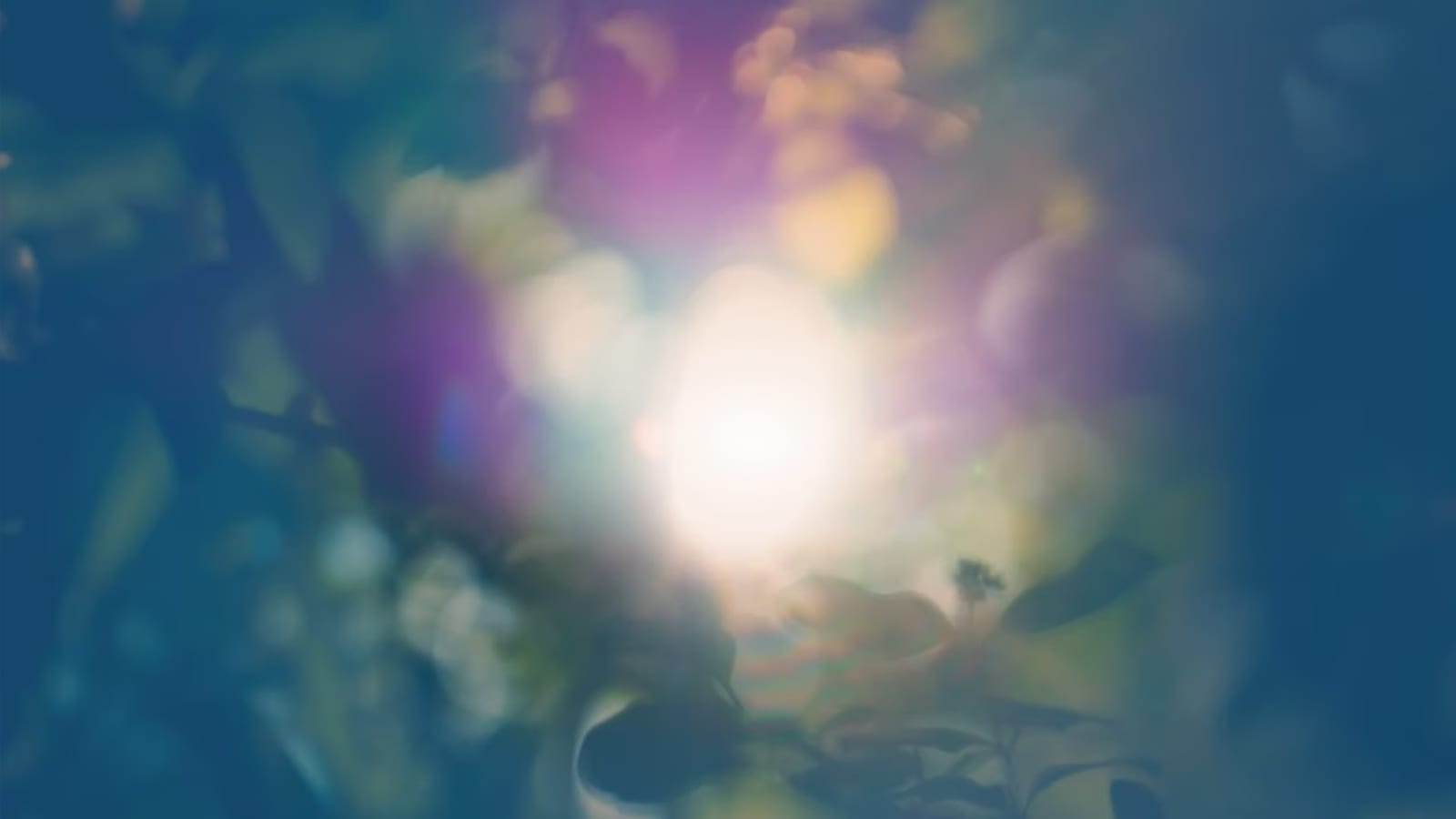 The Inner Science of Healing – 5-Month Live Online Course with Thomas Hübl
