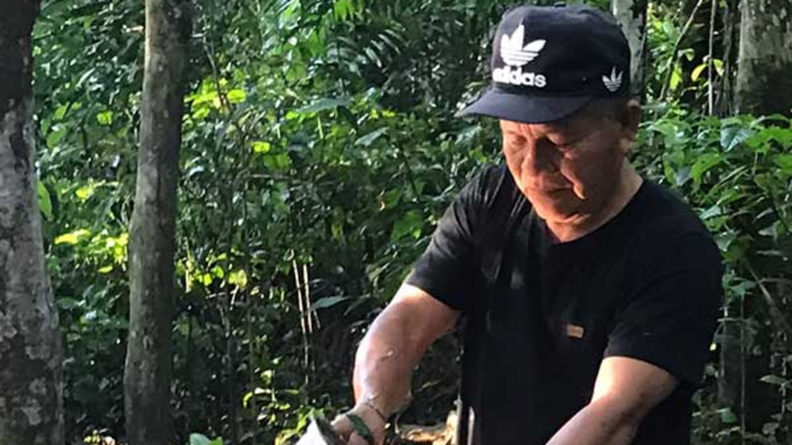 Ayahuasca Immersion 26-Day Retreat