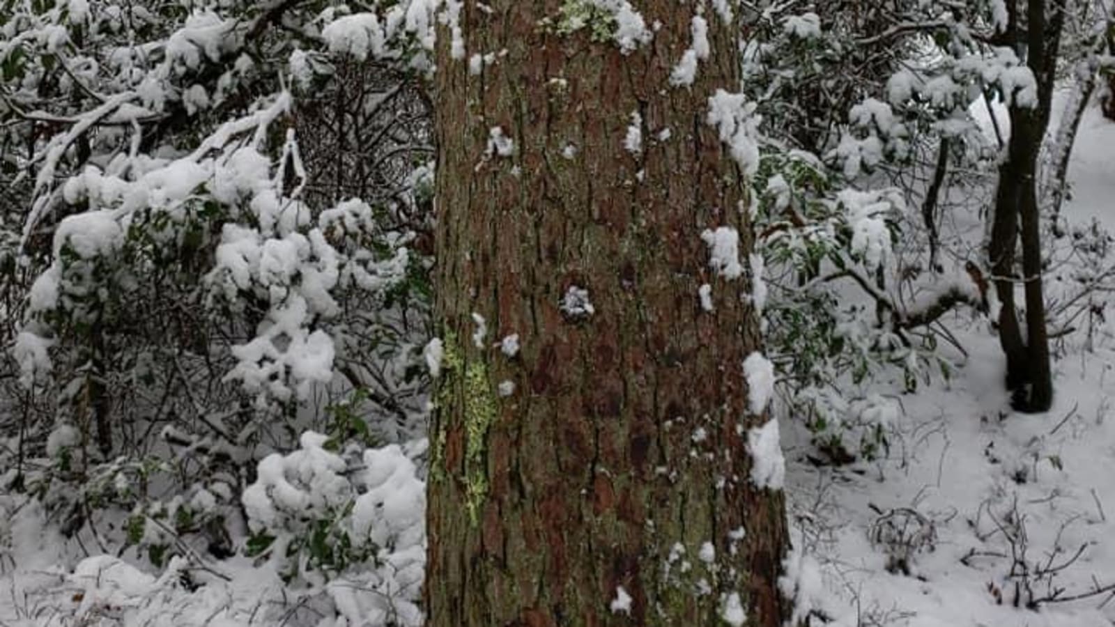 Sacred Territory: A Winter Sanctuary for Women