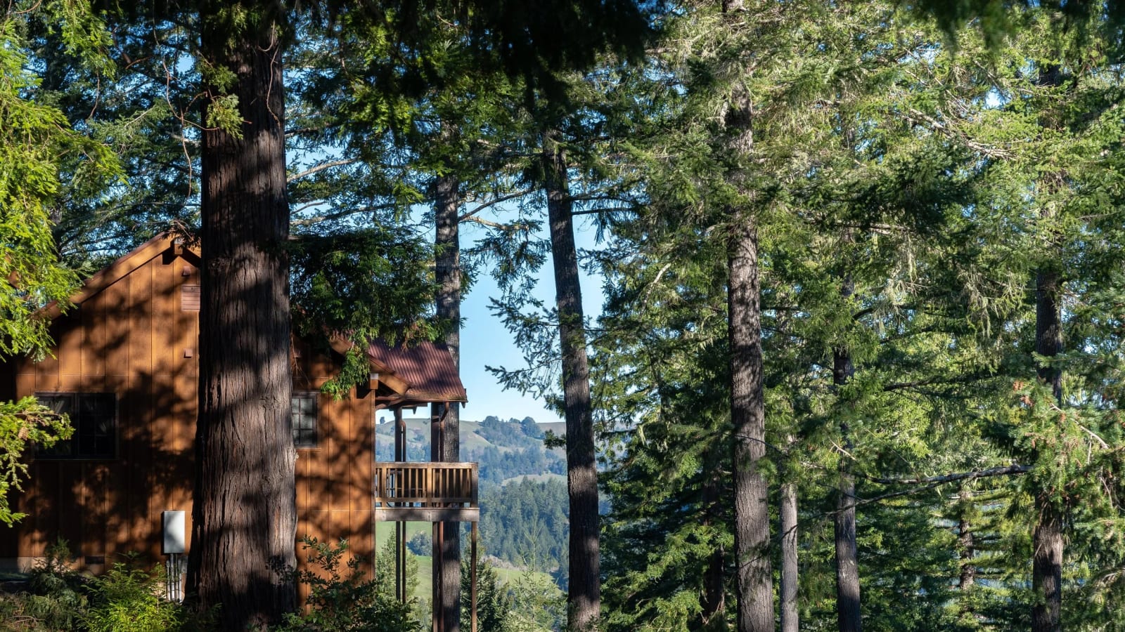 Full Moon New Year Reset Retreat: Set Your Intentions (Ratna Ling Retreat Center, Cazadero, CA)