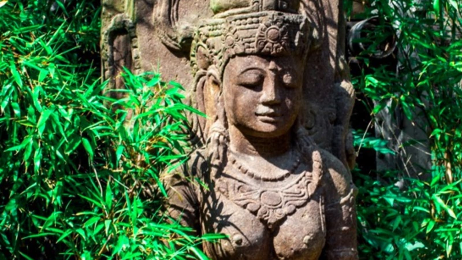 Nourishing Roots: Woodland Creation Retreat