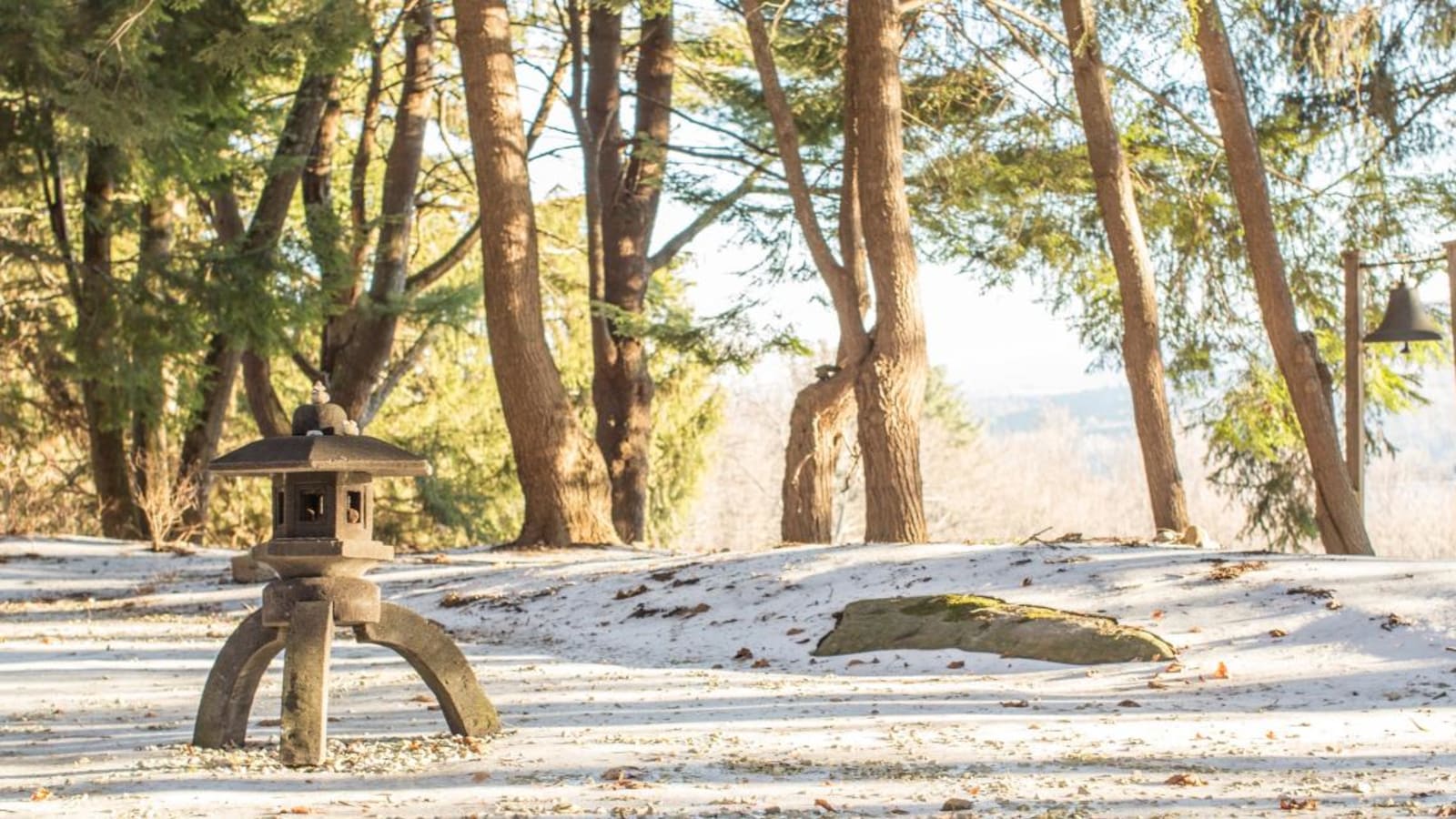 Winter Ayurveda Retreat: Harmony, Rejuvenation, and Rest