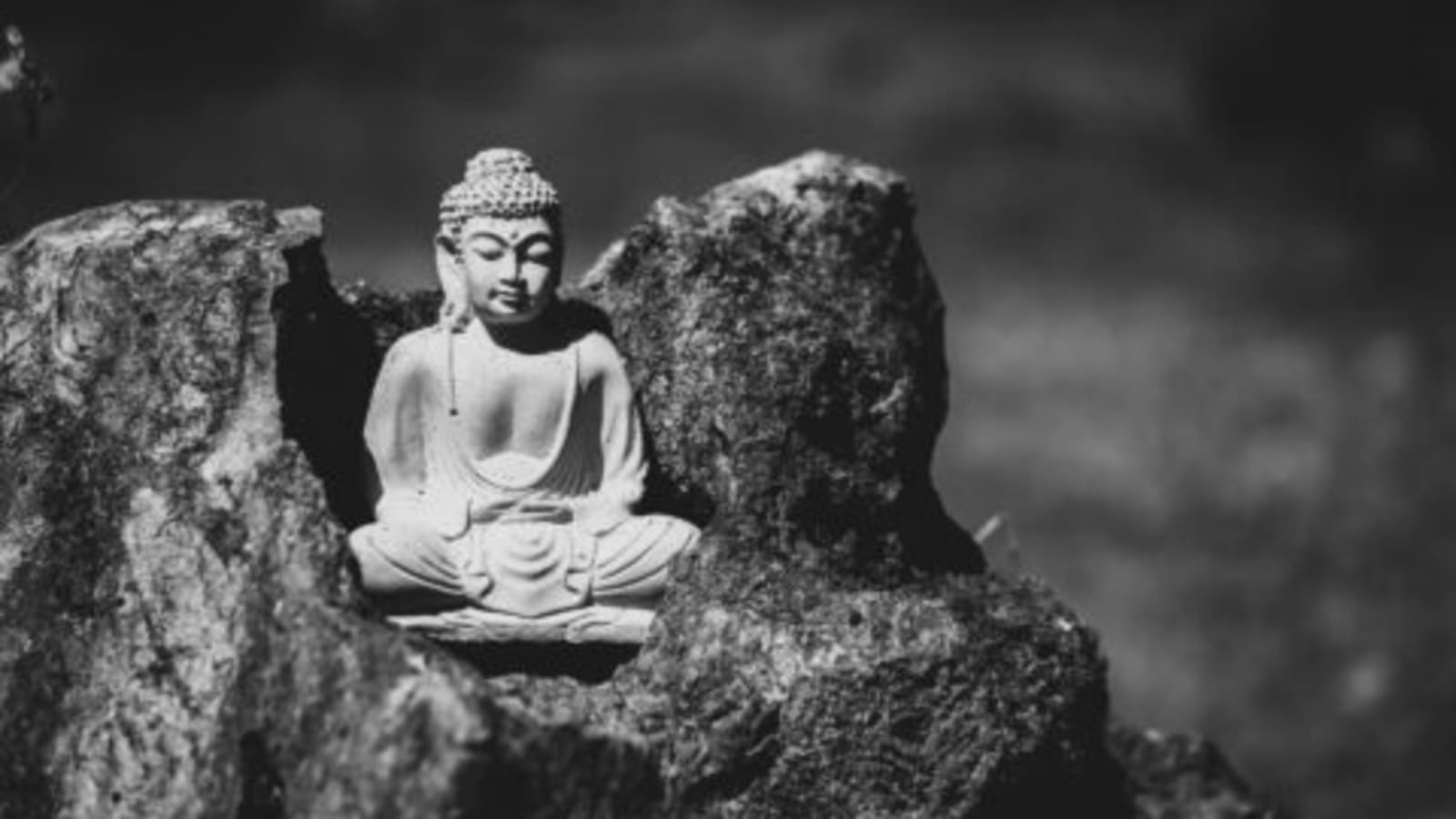 3-Month Rain Retreat at Healing Spring Monastery