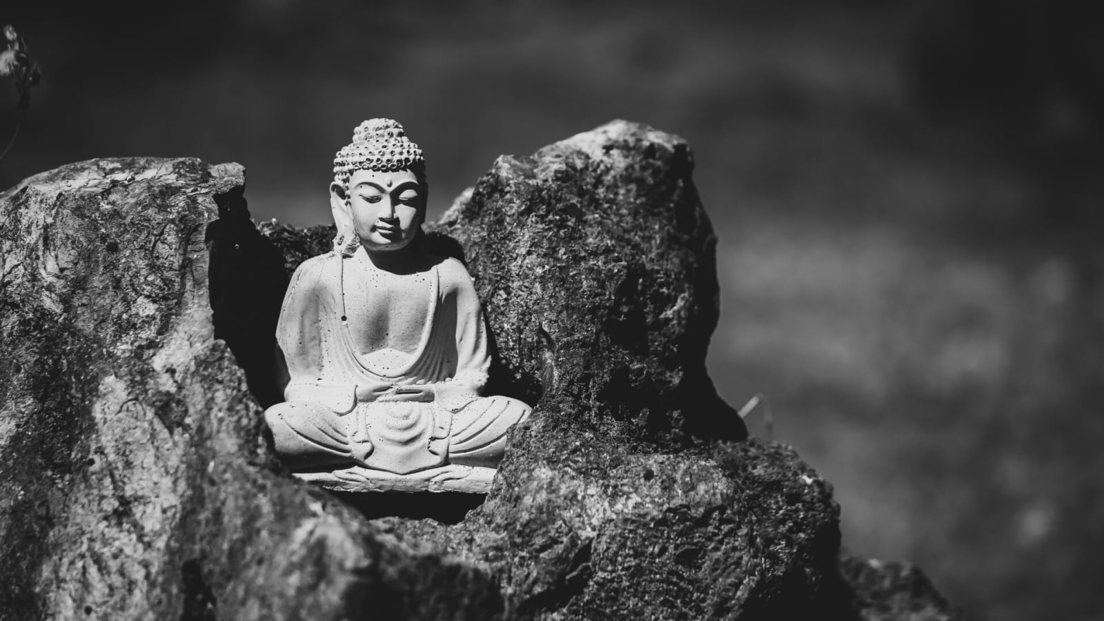 3-Month Rain Retreat at Healing Spring Monastery