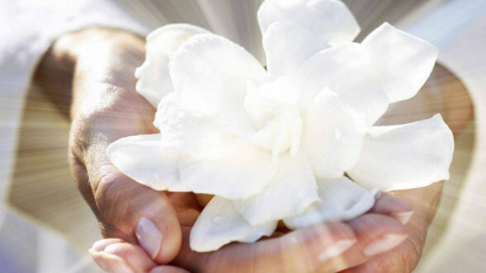 Ayurveda for a Good Life Retreat