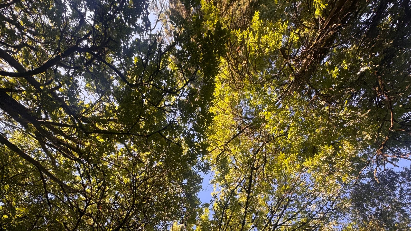 Reconnection to Self Retreat