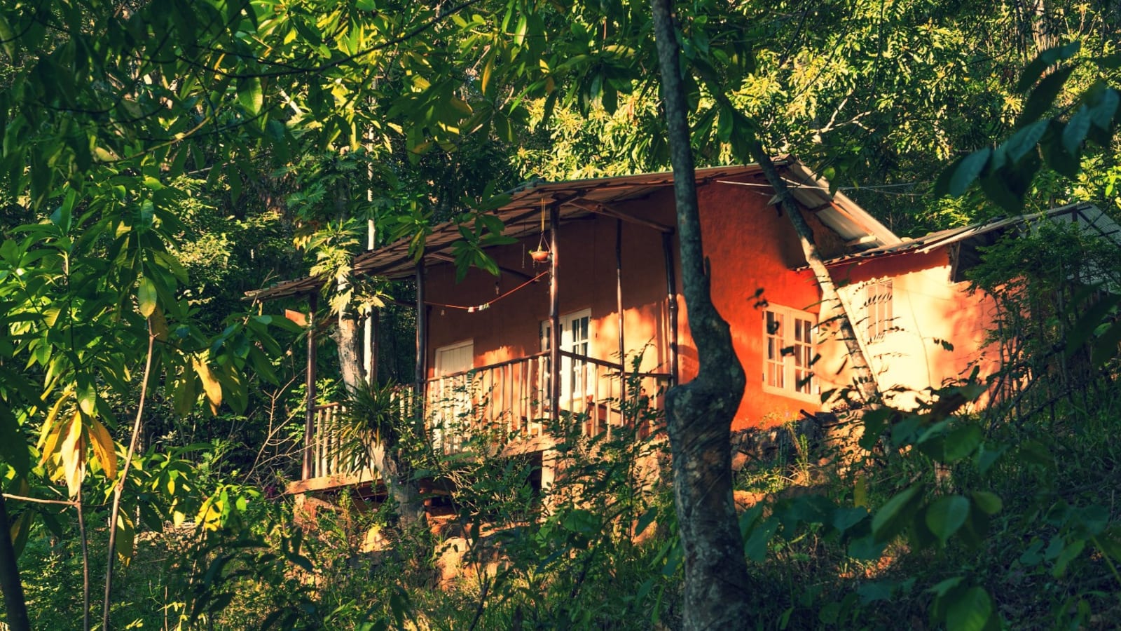 7 Day Connect to Nature Retreat