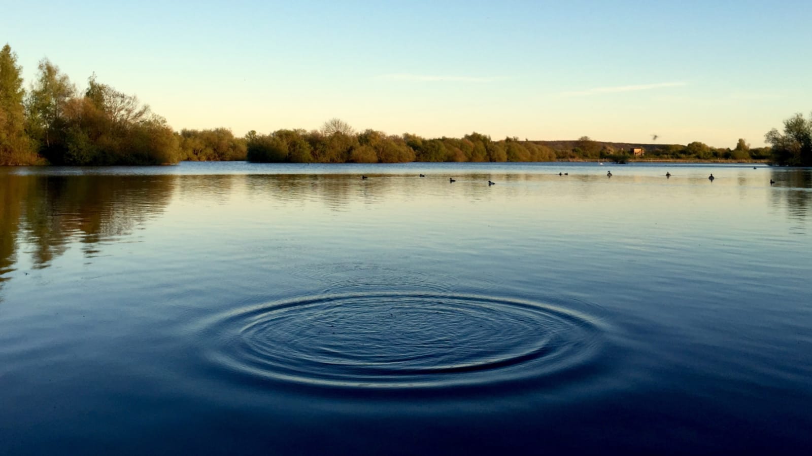 2027 Workshops & Retreats