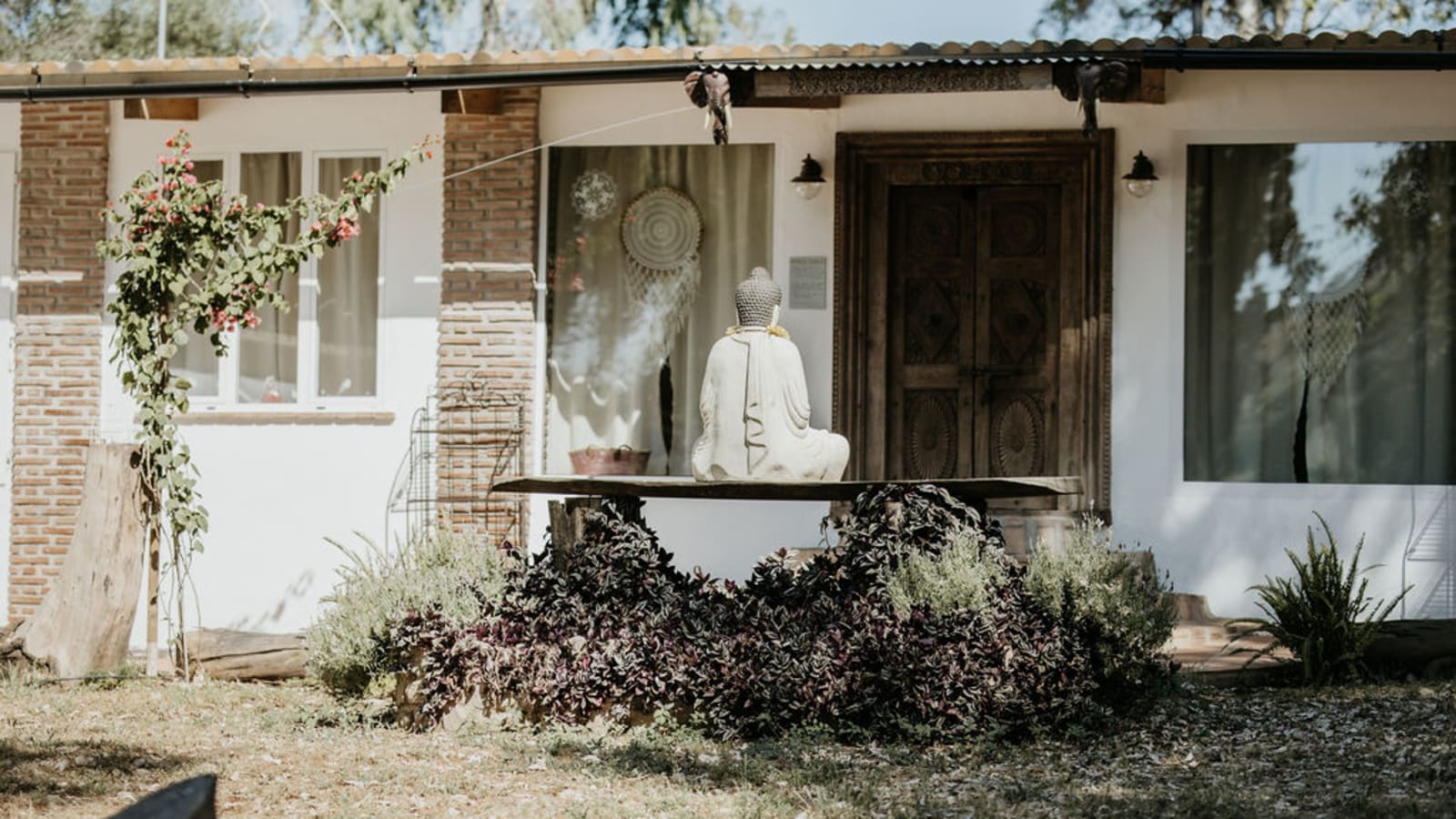 Moving Roots with Mariela Köppe