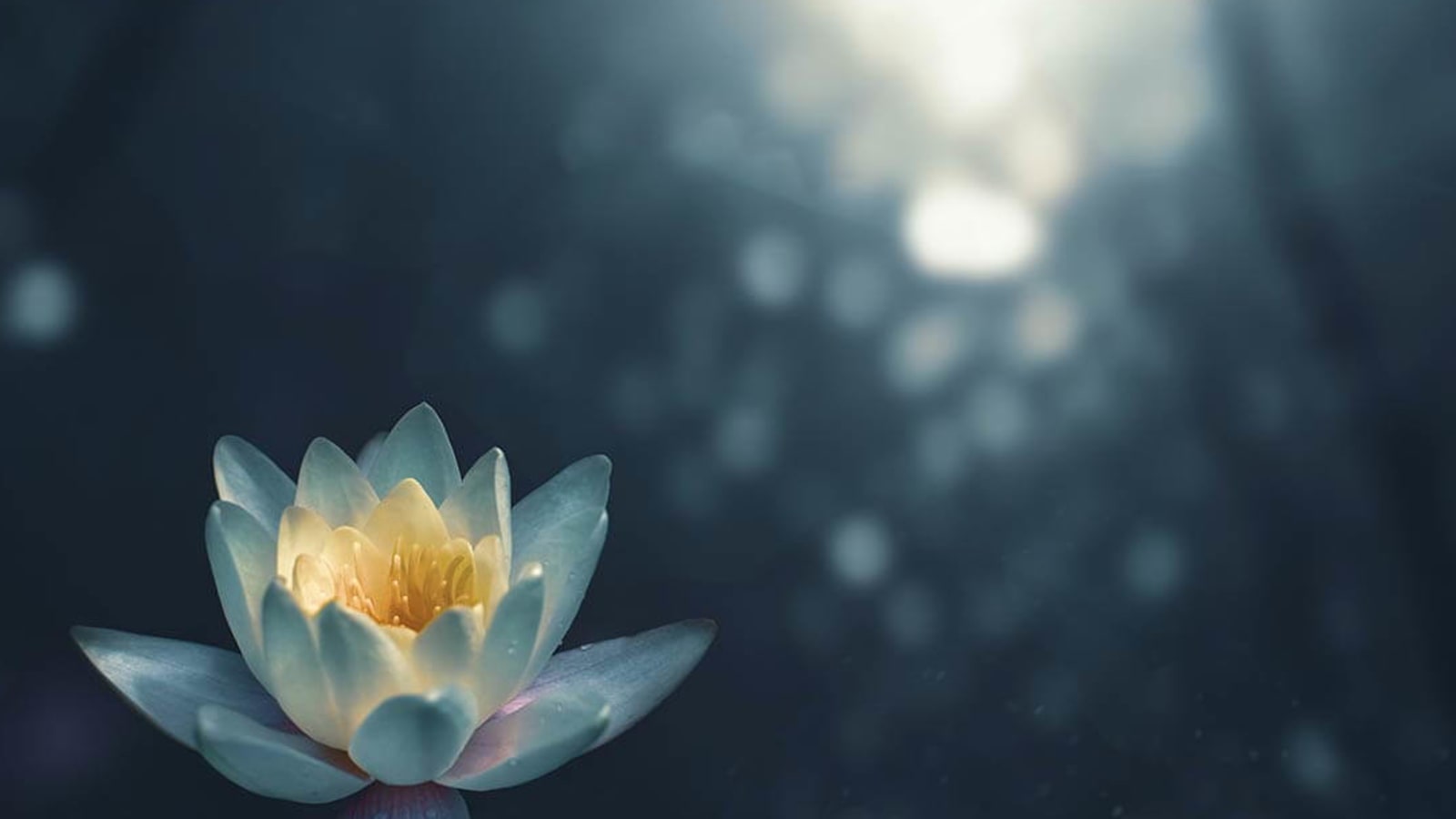 Pure Meditative Peace Class