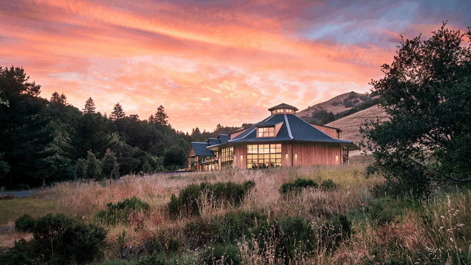 Spring Insight Meditation Retreat: Mindfulness, Kindness, and the Practice of Presence